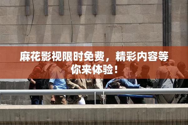 麻花影视限时免费，精彩内容等你来体验！