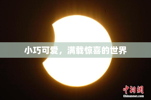 小巧可爱，满载惊喜的世界