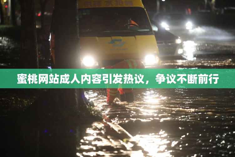 蜜桃网站成人内容引发热议，争议不断前行