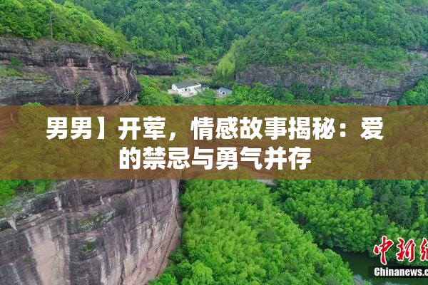 男男】开荤，情感故事揭秘：爱的禁忌与勇气并存