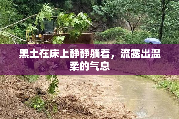 黑土在床上静静躺着，流露出温柔的气息