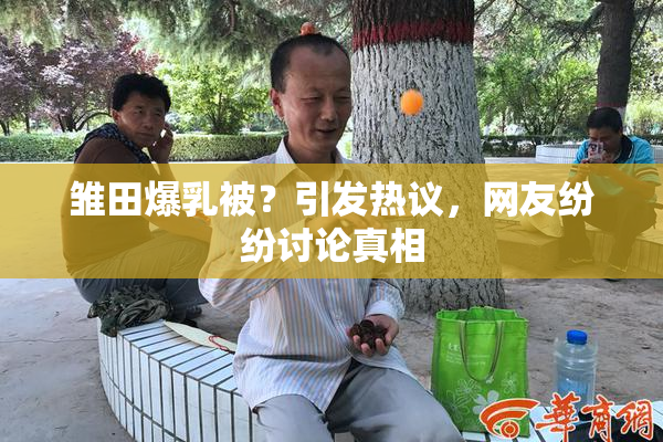 雏田爆乳被？引发热议，网友纷纷讨论真相