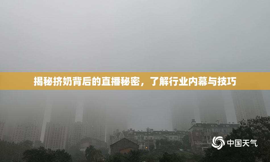 揭秘挤奶背后的直播秘密，了解行业内幕与技巧