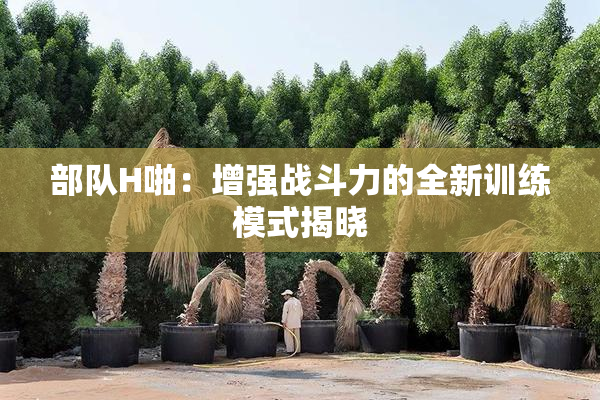 部队H啪：增强战斗力的全新训练模式揭晓