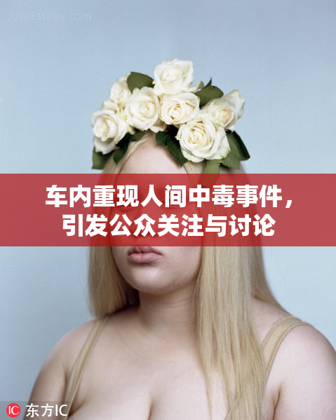 车内重现人间中毒事件，引发公众关注与讨论