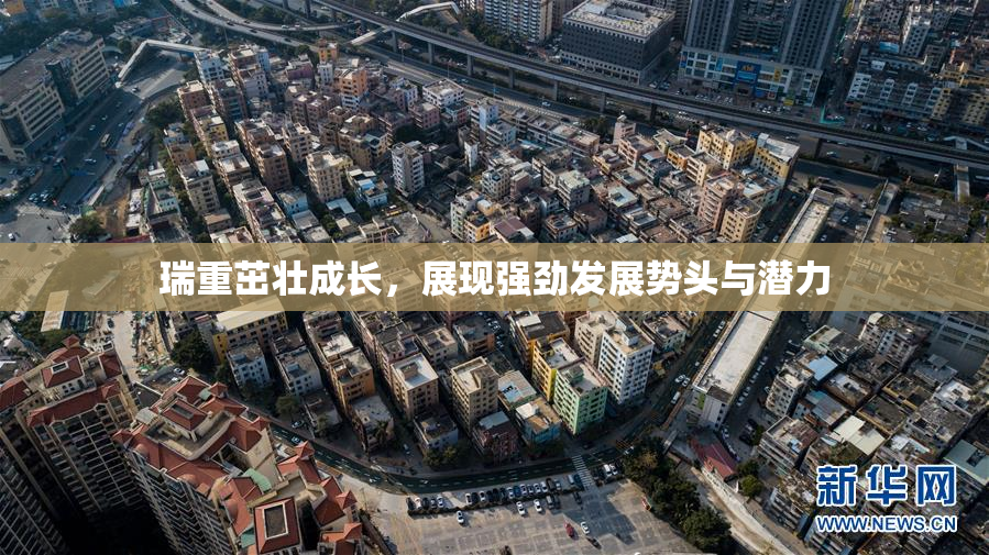瑞重茁壮成长，展现强劲发展势头与潜力