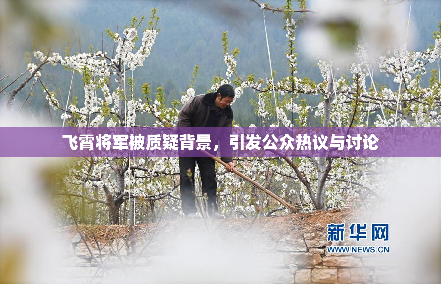 飞霄将军被质疑背景，引发公众热议与讨论