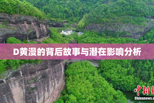 D黄漫的背后故事与潜在影响分析