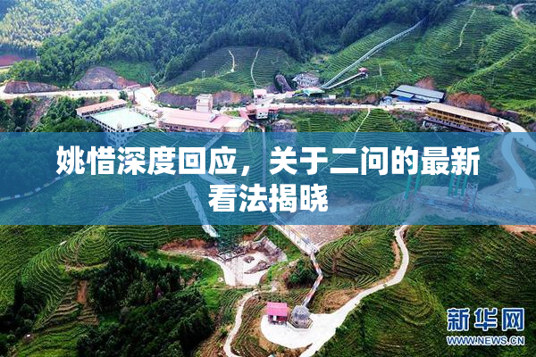 姚惜深度回应，关于二问的最新看法揭晓