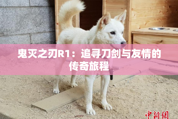 鬼灭之刃R1：追寻刀剑与友情的传奇旅程