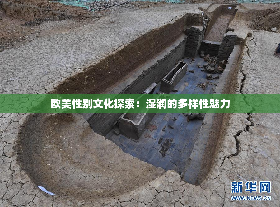 欧美性别文化探索：湿润的多样性魅力