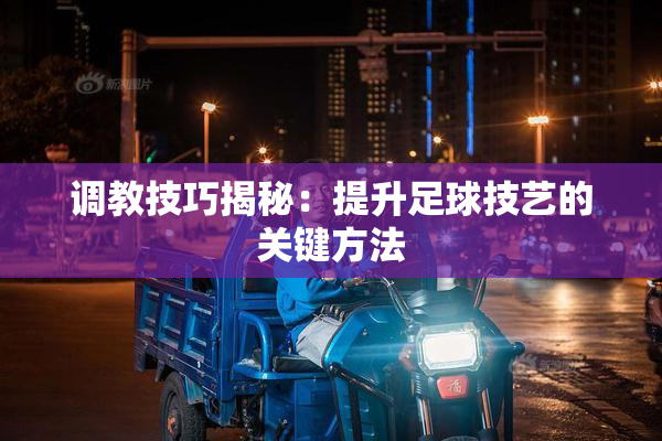 调教技巧揭秘：提升足球技艺的关键方法