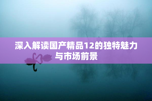 深入解读国产精品12的独特魅力与市场前景