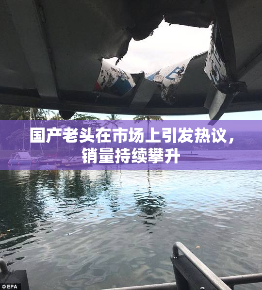 国产老头在市场上引发热议，销量持续攀升