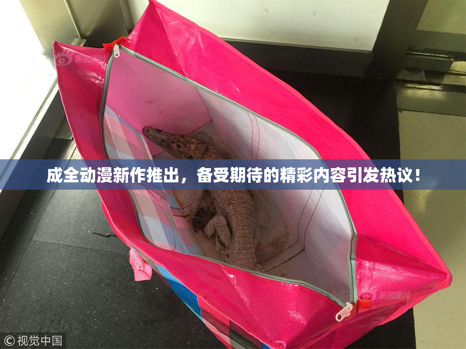 成全动漫新作推出，备受期待的精彩内容引发热议！