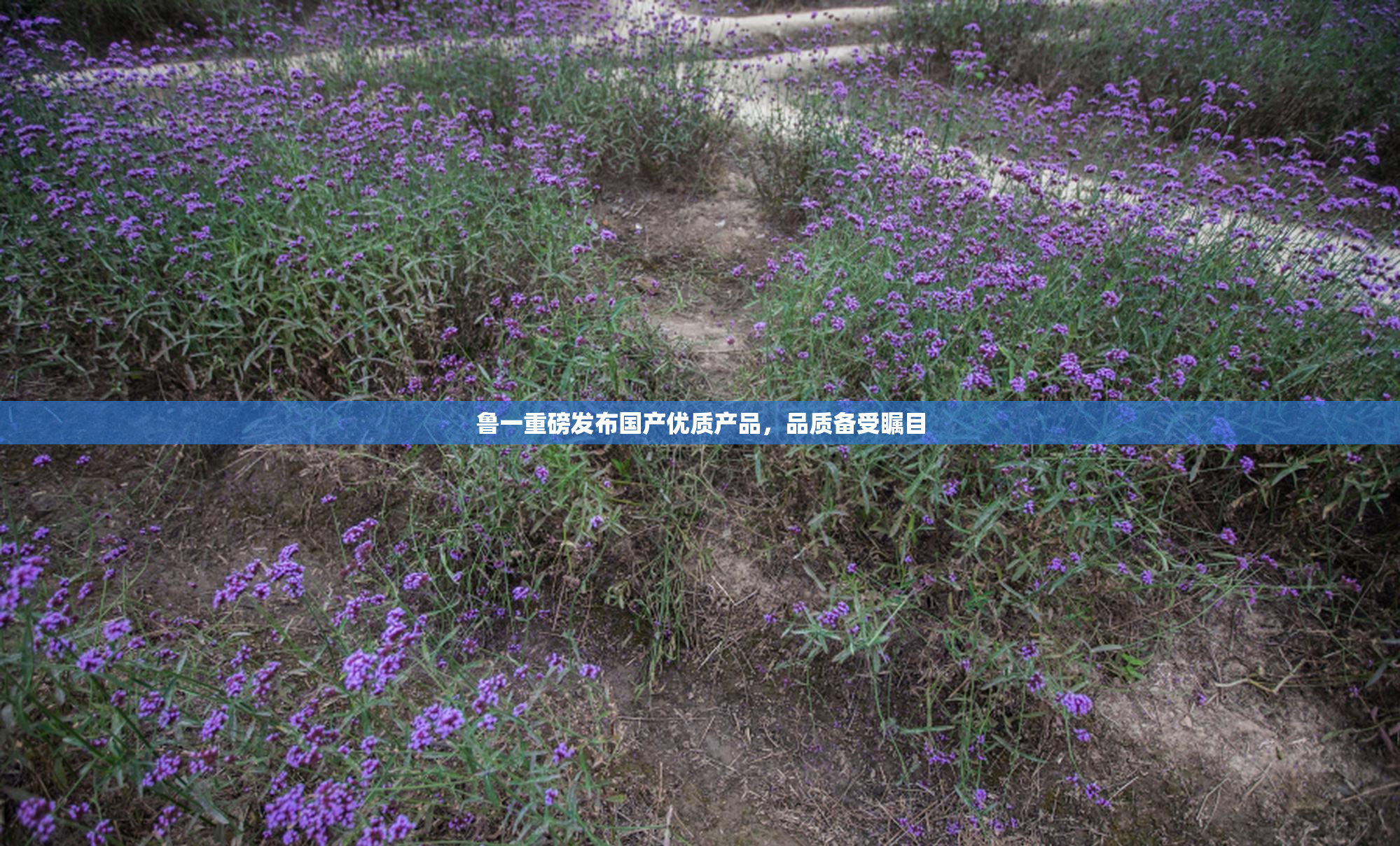 鲁一重磅发布国产优质产品，品质备受瞩目