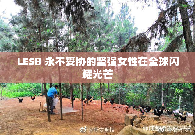 LESB 永不妥协的坚强女性在全球闪耀光芒