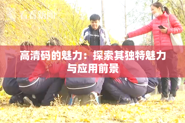 高清码的魅力：探索其独特魅力与应用前景