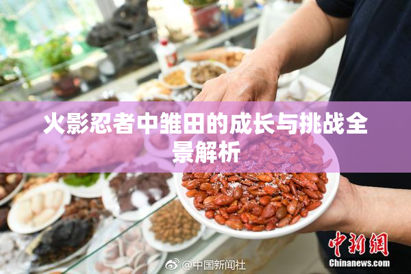 火影忍者中雏田的成长与挑战全景解析
