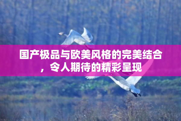 国产极品与欧美风格的完美结合，令人期待的精彩呈现