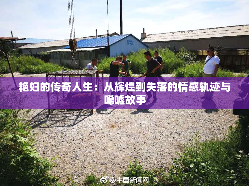 艳妇的传奇人生：从辉煌到失落的情感轨迹与唏嘘故事