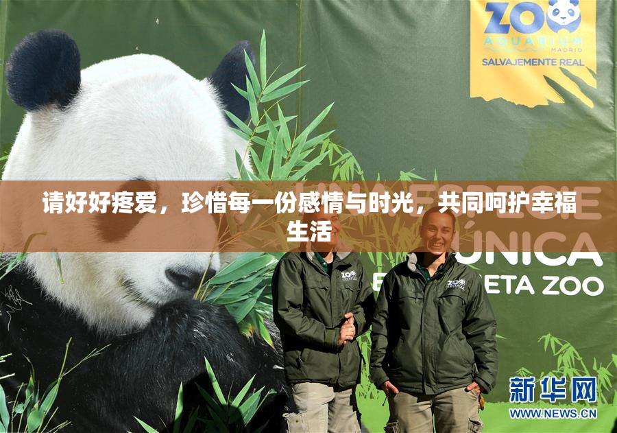 请好好疼爱，珍惜每一份感情与时光，共同呵护幸福生活