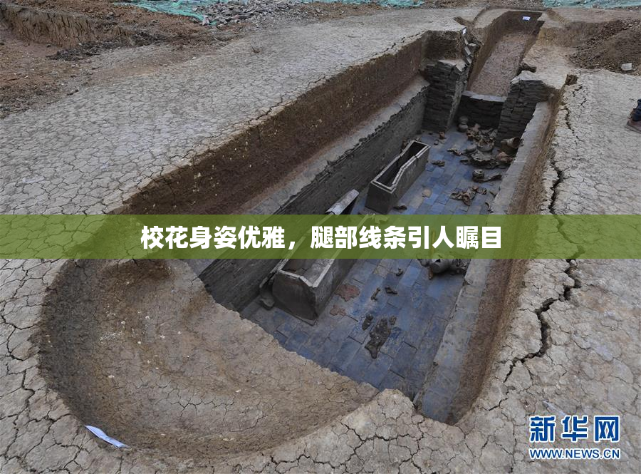 校花身姿优雅，腿部线条引人瞩目