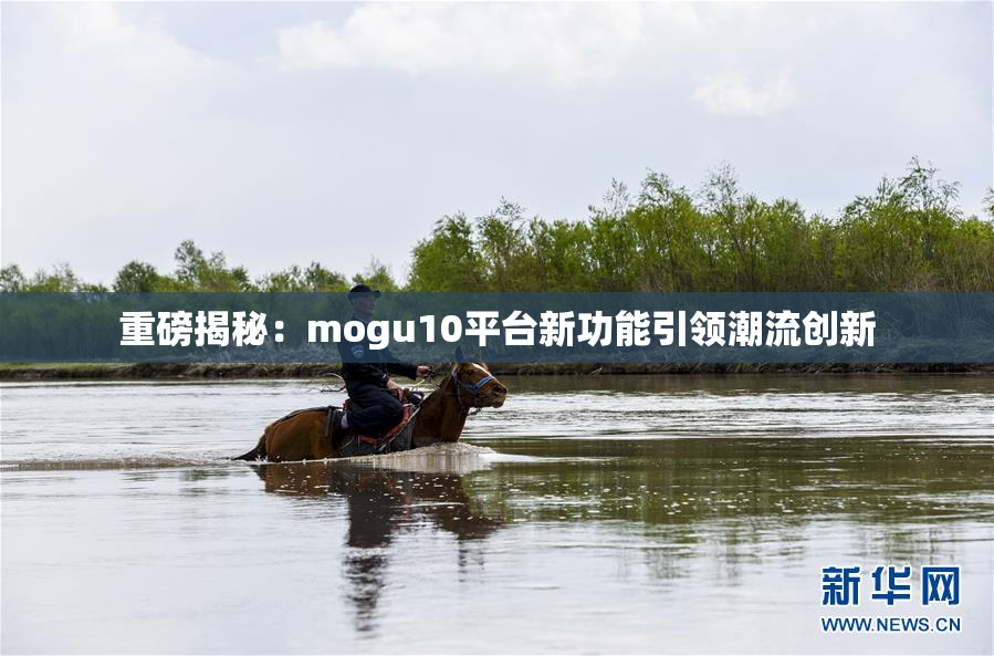 重磅揭秘：mogu10平台新功能引领潮流创新