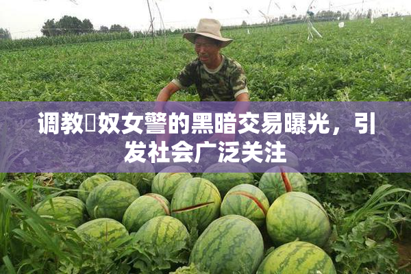 调教婬奴女警的黑暗交易曝光，引发社会广泛关注