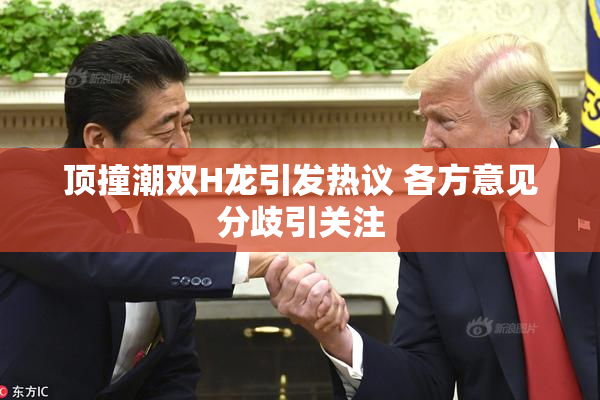 顶撞潮双H龙引发热议 各方意见分歧引关注