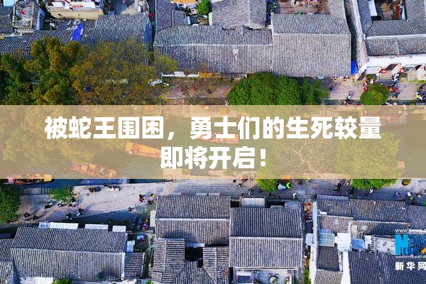 被蛇王围困，勇士们的生死较量即将开启！