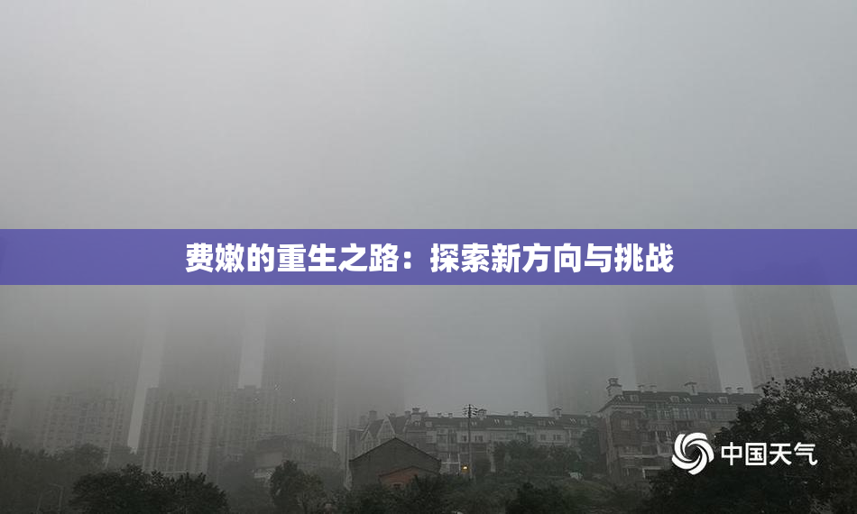 费嫩的重生之路：探索新方向与挑战
