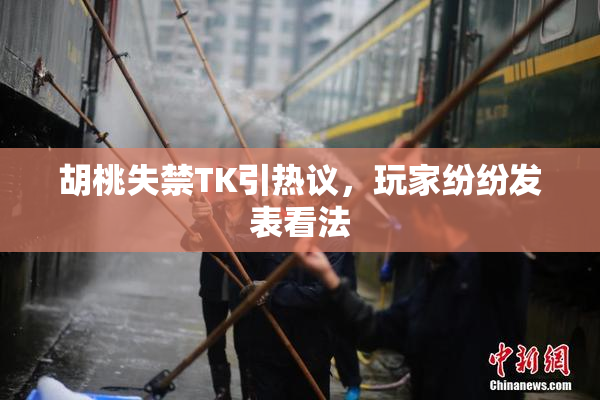 胡桃失禁TK引热议，玩家纷纷发表看法