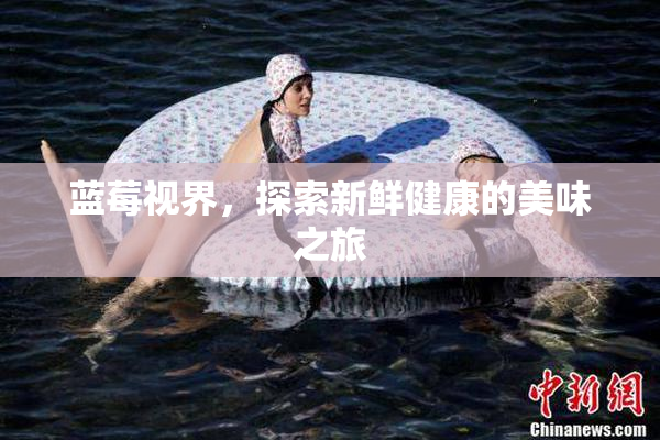 蓝莓视界，探索新鲜健康的美味之旅