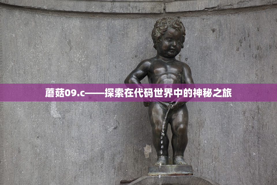 蘑菇09.c——探索在代码世界中的神秘之旅