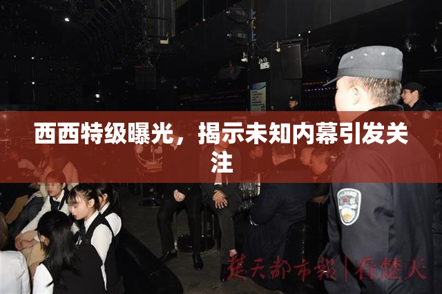 西西特级曝光，揭示未知内幕引发关注