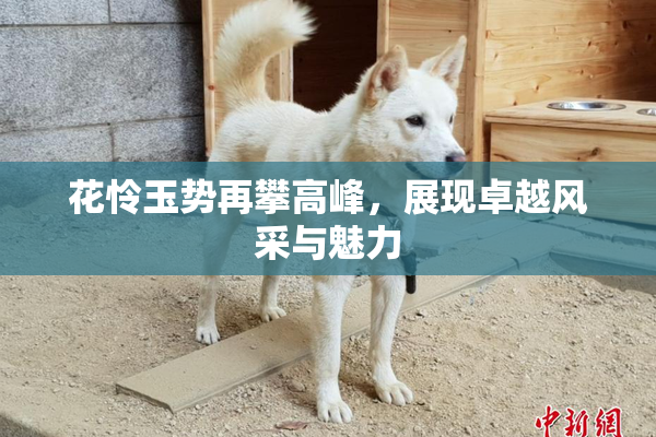 花怜玉势再攀高峰，展现卓越风采与魅力