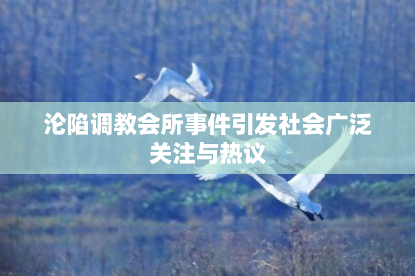 沦陷调教会所事件引发社会广泛关注与热议