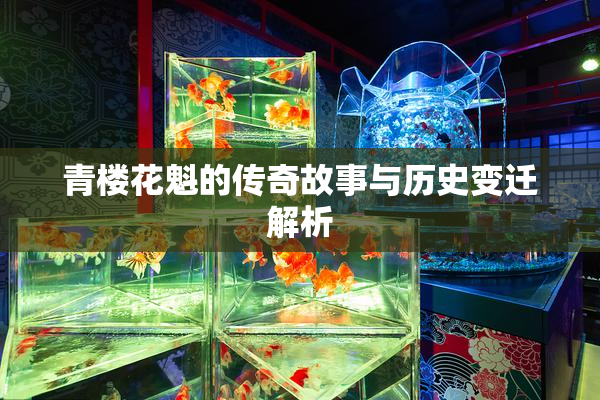 青楼花魁的传奇故事与历史变迁解析