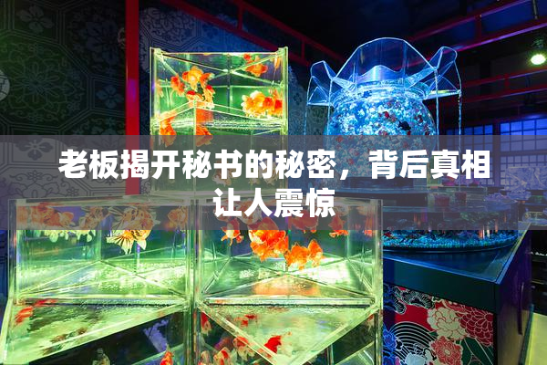 老板揭开秘书的秘密，背后真相让人震惊