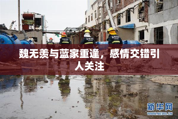 魏无羡与蓝家重逢，感情交错引人关注