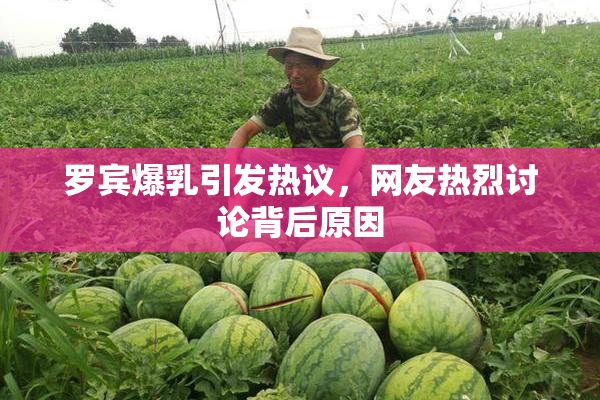 罗宾爆乳引发热议，网友热烈讨论背后原因