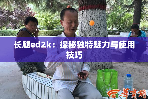长腿ed2k：探秘独特魅力与使用技巧