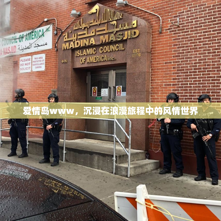 爱情岛www，沉浸在浪漫旅程中的风情世界