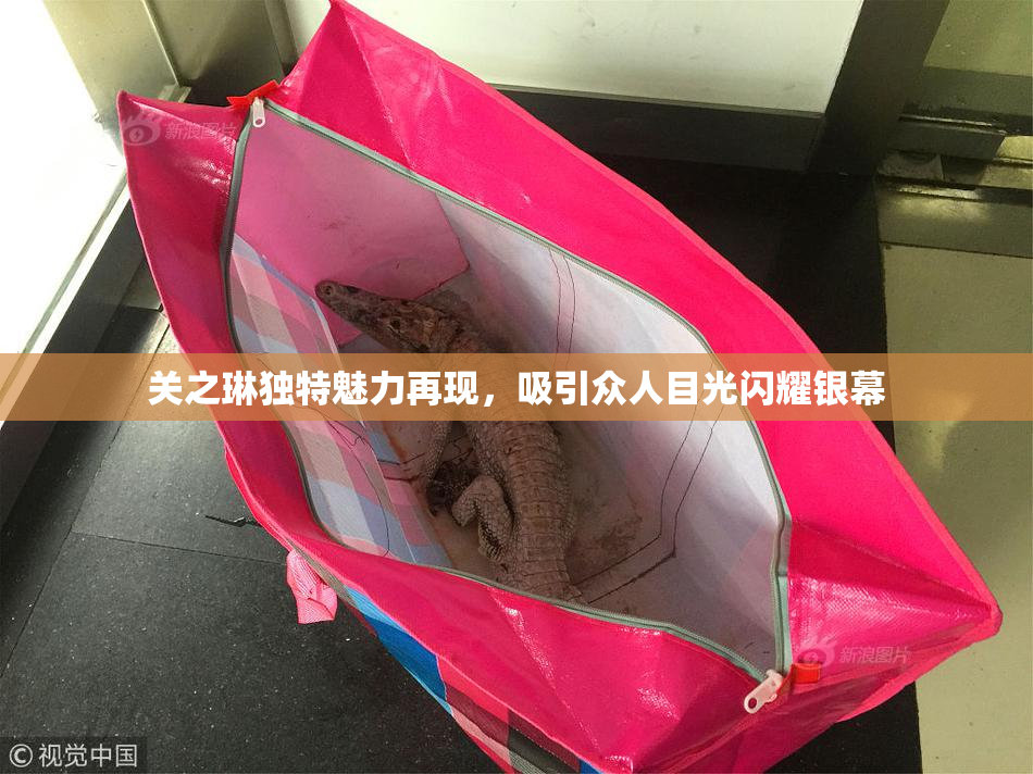 关之琳独特魅力再现，吸引众人目光闪耀银幕