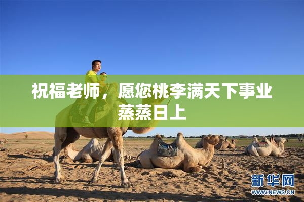 祝福老师，愿您桃李满天下事业蒸蒸日上