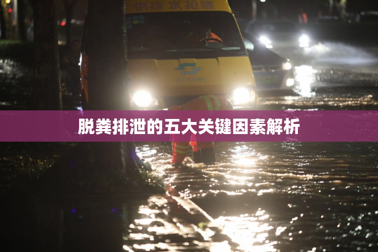 脱粪排泄的五大关键因素解析
