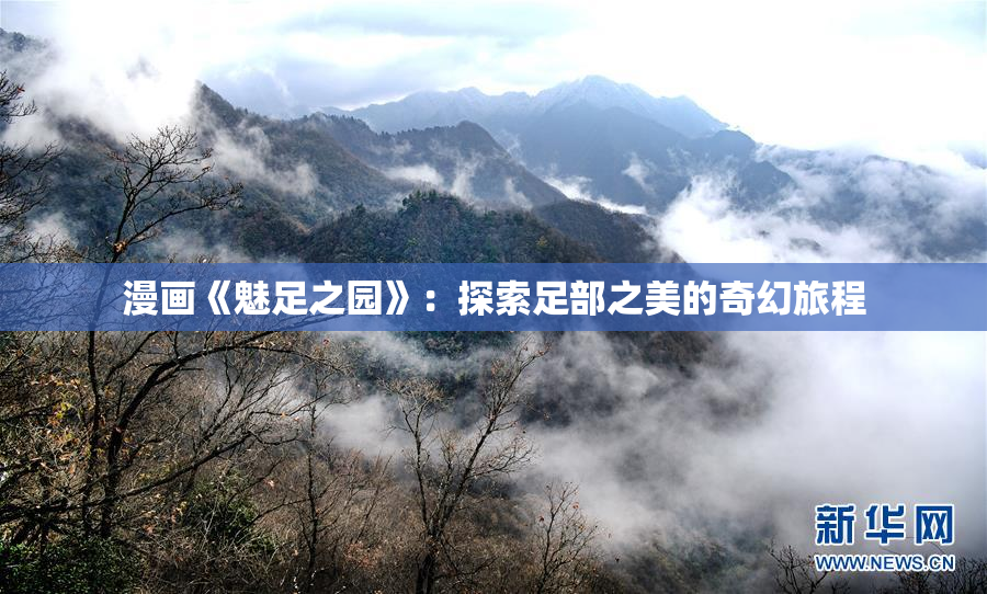 漫画《魅足之园》：探索足部之美的奇幻旅程