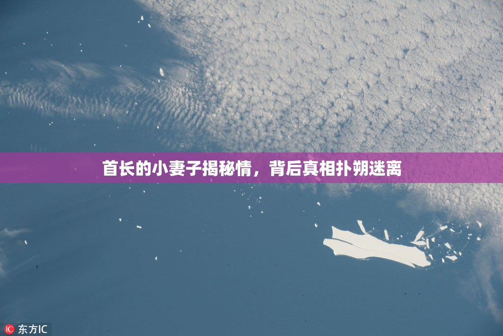 首长的小妻子揭秘情，背后真相扑朔迷离