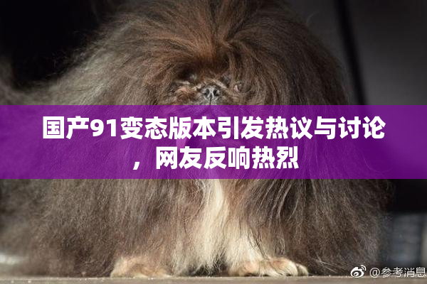 国产91变态版本引发热议与讨论，网友反响热烈